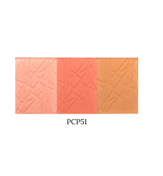 Pro Cheek Palette